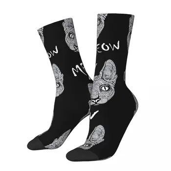Забавный Сумасшедший Носок для Мужчин Sphynx Cat в стиле Хип-Хоп Harajuku с Черепом, Бесшовный Узор, С Принтом Для Мальчиков, Повседневный Подарок